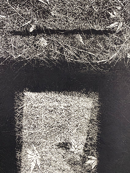中林忠良版画「転位'86 地III」 | Natsume Books