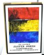 ジャスパー・ジョーンズ版画額「DIE GRAPHIK」